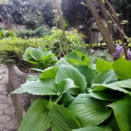 بيت ضيافة Family Greenslo