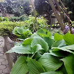 招待所 格林斯洛公寓式酒店