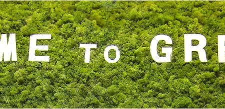 Family Greenslo Pensión 2*