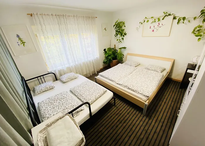 Family Greenslo 2* Ljubljana