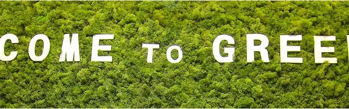 Family Greenslo Guest house 2*