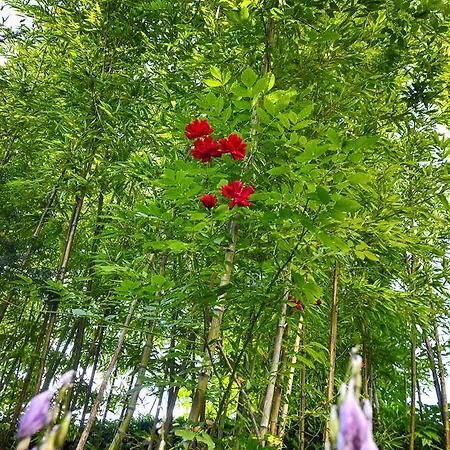 Family Greenslo Maison d'hôtes 2*