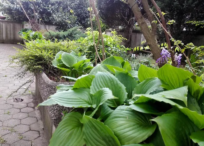 Pensjonat Family Greenslo